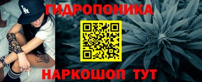 прущие крисы Будённовск