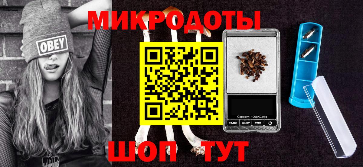 Галлюциногенные грибы Psilocybe Невинномысск