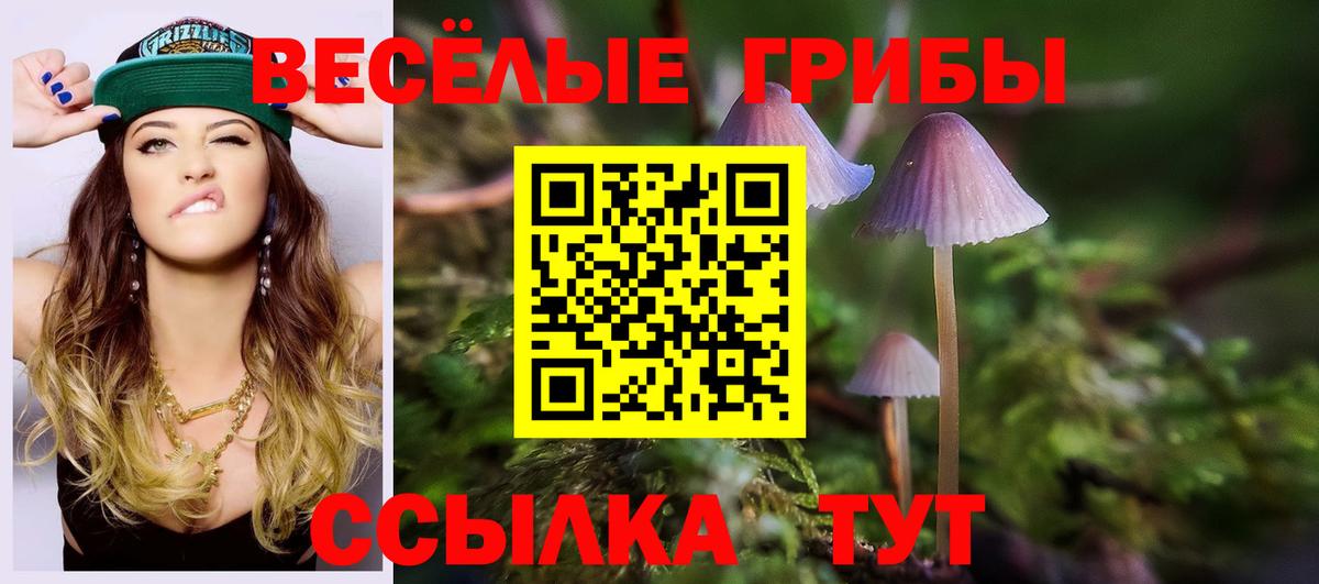 Невинномысск  Псилоцибиновые грибы Cubensis  Вход с VPN  Галлюциногенные грибы мицелий 